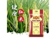 現代畜牧業與漁業的綠色轉型 微生物制劑與飼料營養的協同創新